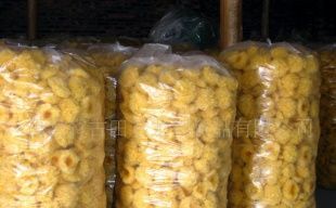 產(chǎn)地直銷(xiāo)，品質(zhì)無(wú)憂(yōu) 古田銀耳（白木耳）的農(nóng)副產(chǎn)品魅力