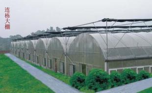 龍巖溫室大棚 科技賦能農副產品，世界工廠網助力產業騰飛